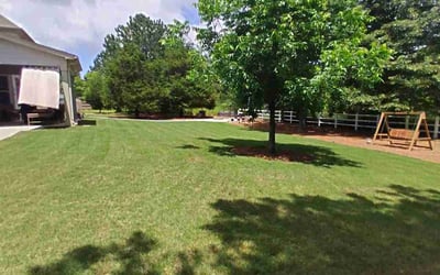 Photo of Micha J.'s yard after getting lawn care in Senoia, GA