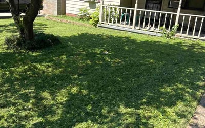 Photo of Elizabeth M.'s yard after getting lawn care in Saddle Brook, NJ