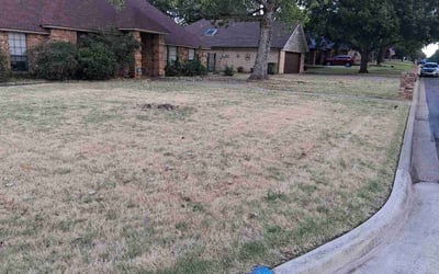 Photo of Jesse L.'s yard after getting lawn care in Austin, TX