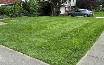 Photo of Daniel F.'s yard after getting lawn care in Tomball, TX