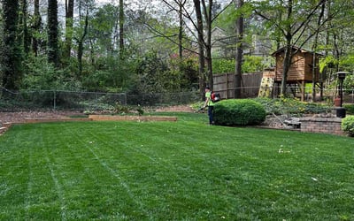 Photo of Aliyya S.'s yard after getting lawn care in Clarkston, GA