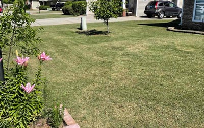 Photo of Conor S.'s yard after getting lawn care in Calera, AL