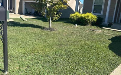 Photo of Victor U.'s yard after getting lawn care in Columbia, TN