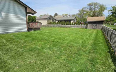 Photo of Channika D.'s yard after getting lawn care in Helena, AL