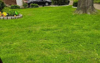 Photo of Tonya W.'s yard after getting lawn care in White House, TN