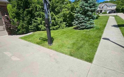 Photo of Daisy A.'s yard after getting lawn care in Pittsburgh, PA