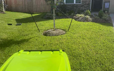 Photo of R H.'s yard after getting lawn care in Magnolia, TX