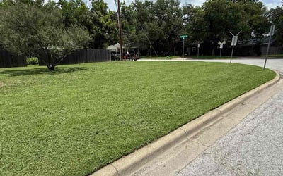 Photo of Quillan A.'s yard after getting lawn care in Jacksonville, FL