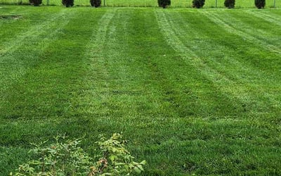 Photo of Destiny H.'s yard after getting lawn care in Franklin, IN