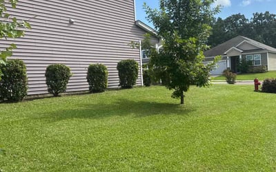 Photo of Mickala W.'s yard after getting lawn care in Adairsville, GA