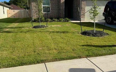 Photo of Susan S.'s yard after getting lawn care in Lockhart, TX