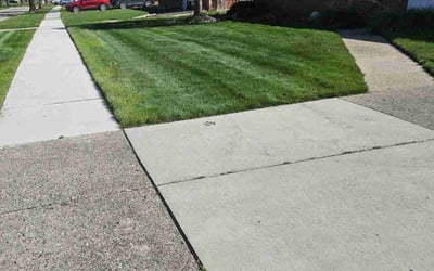 Photo of TNae W.'s yard after getting lawn care in Wayne, MI