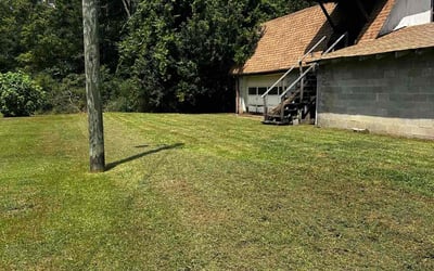 Photo of Dennis S.'s yard after getting lawn care in Garfield, NJ