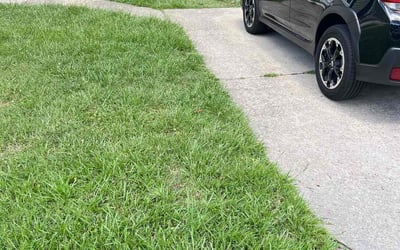 Photo of Clay R.'s yard after getting lawn care in Atwater, CA