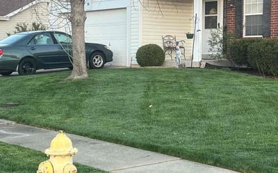 Photo of Vijaya S.'s yard after getting lawn care in O'Fallon, MO