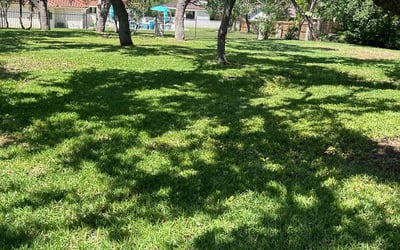 Photo of Patrice R.'s yard after getting lawn care in Joshua Tree, CA
