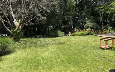 Photo of Brian J.'s yard after getting lawn care in Marion, AR