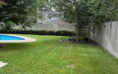 Photo of Mike K.'s yard after getting lawn care in Eastpointe, MI