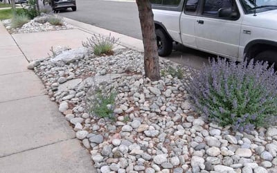 Photo of Octavius R.'s yard after getting lawn care in Warren, NJ