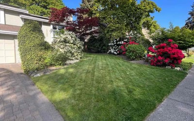 Photo of Denise C.'s yard after getting lawn care in Bothell, WA