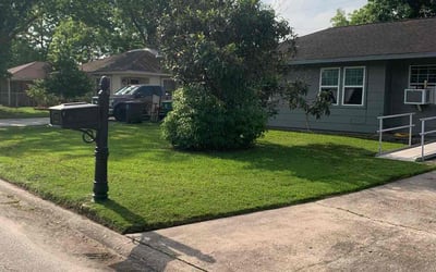 Photo of Sandra M.'s yard after getting lawn care in Cambridge, MA