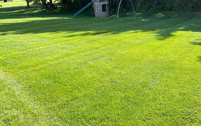 Photo of Logan M.'s yard after getting lawn care in Hobart, IN