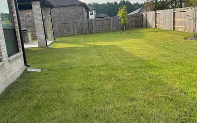 Photo of Robert R.'s yard after getting lawn care in Lombard, IL