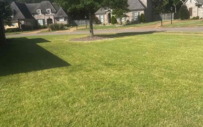 Photo of Benjamin M.'s yard after getting lawn care in Olive Branch, MS