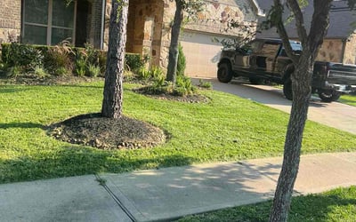 Photo of Eliza L.'s yard after getting lawn care in Islip, NY