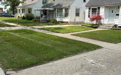 Photo of Lisa B.'s yard after getting lawn care in Bloomfield, CT