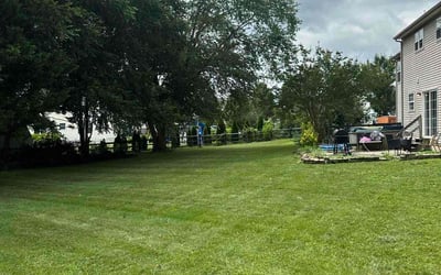 Photo of Danielle W.'s yard after getting lawn care in Seaford, DE