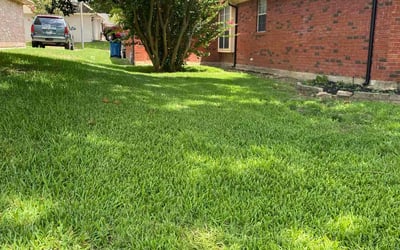 Photo of Tim H.'s yard after getting lawn care in DeSoto, TX