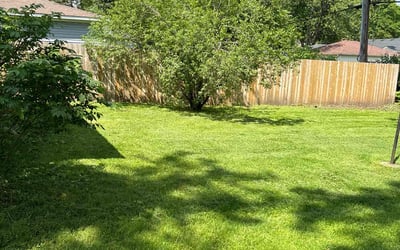 Photo of Jerrad R.'s yard after getting lawn care in Villa Park, IL