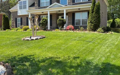 Photo of Joshua H.'s yard after getting lawn care in Bessemer City, NC