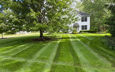 Photo of Christopher M.'s yard after getting lawn care in Westlake, OH