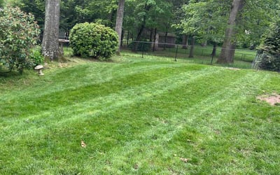 Photo of Joshua W.'s yard after getting lawn care in Edgewater, FL