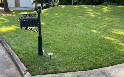 Photo of Robin F.'s yard after getting lawn care in Flint, MI