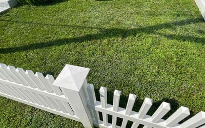 Photo of Carly H.'s yard after getting lawn care in Providence, RI