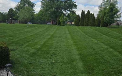 Photo of Sara N.'s yard after getting lawn care in Lees Summit, MO