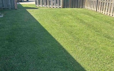 Photo of Ashleigh C.'s yard after getting lawn care in Statesville, NC