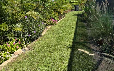 Photo of Natalie E.'s yard after getting lawn care in Fontana, CA