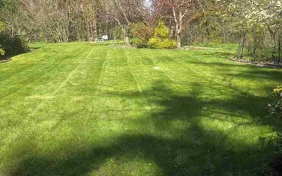 Photo of Keia D.'s yard after getting lawn care in Woodinville, WA
