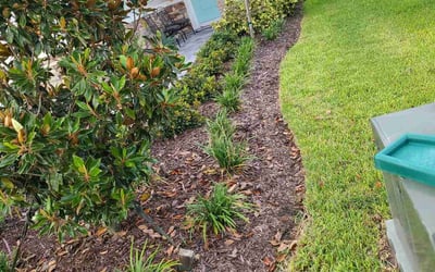 Photo of Dana M.'s yard after getting lawn care in Ellenton, FL