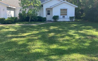 Photo of Christopher R.'s yard after getting tree care in Bellevue, NE