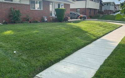 Photo of Lawren P.'s yard after getting lawn care in Richmond Hill, GA