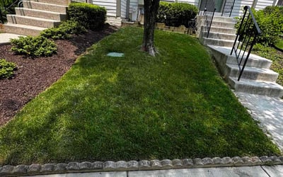 Photo of Shannon S.'s yard after getting lawn care in Lilburn, GA