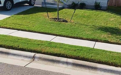 Photo of Craig S.'s yard after getting lawn care in Buda, TX