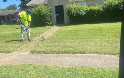Photo of Kay C.'s yard after getting lawn care in Mount Vernon, NY