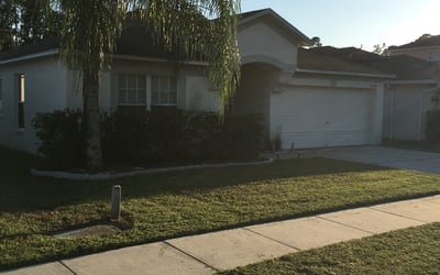 Photo of Klaire M.'s yard after getting tree care in Dallas, GA