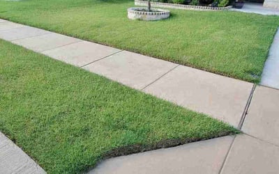Photo of Donna H.'s yard after getting lawn care in Quinlan, TX